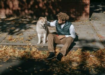 pexels-zen-chung-étudiant qui profite de l'automne - L’horoscope de ton automne étudiant