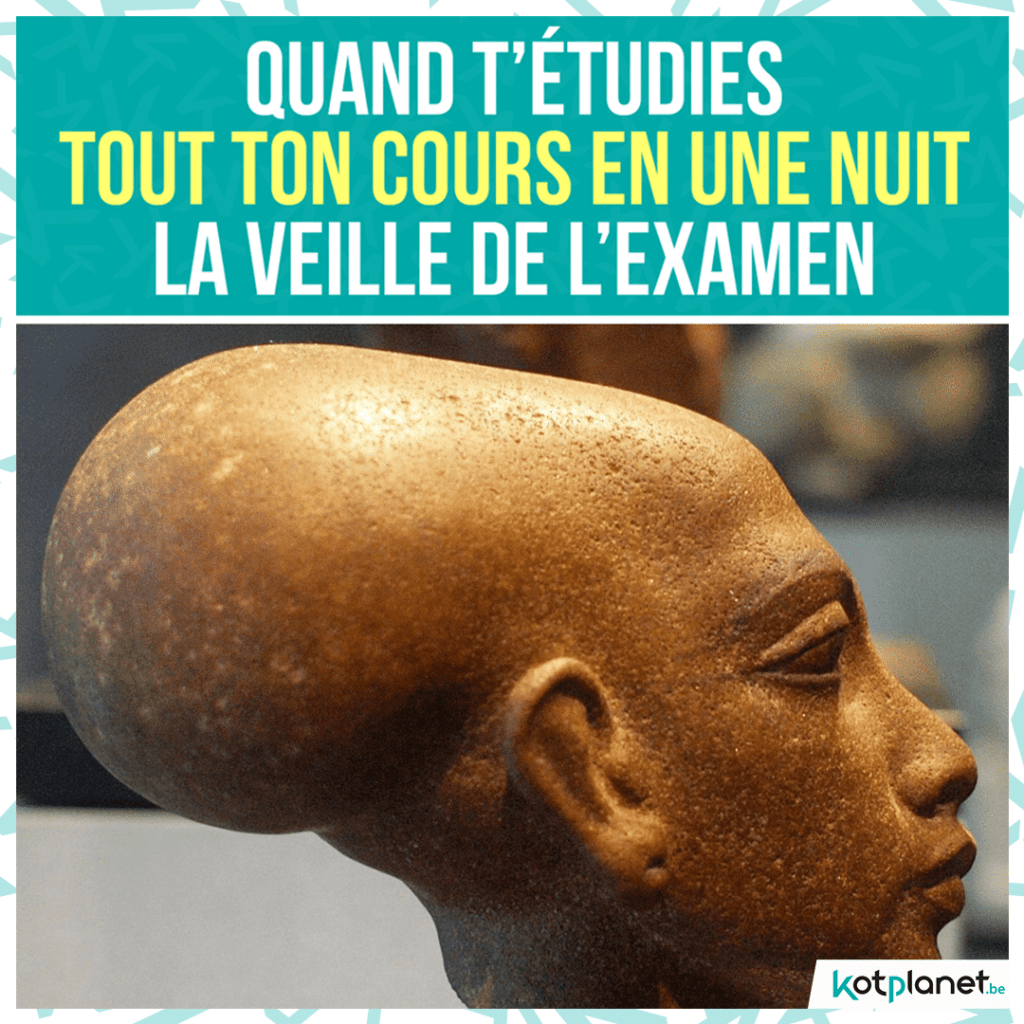 meme-etudie-tout-cours-veille