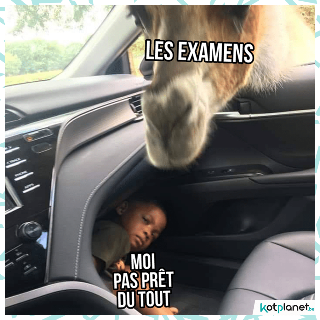 meme-pas-pret-exam