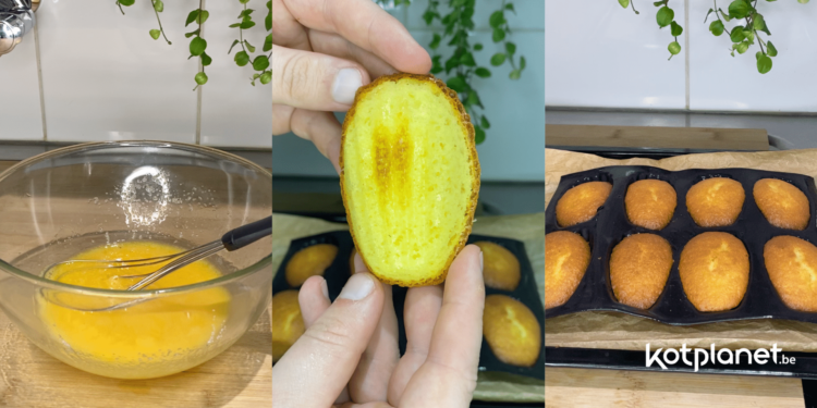 Kotplanet - Recette étudiante de la semaine les madeleines