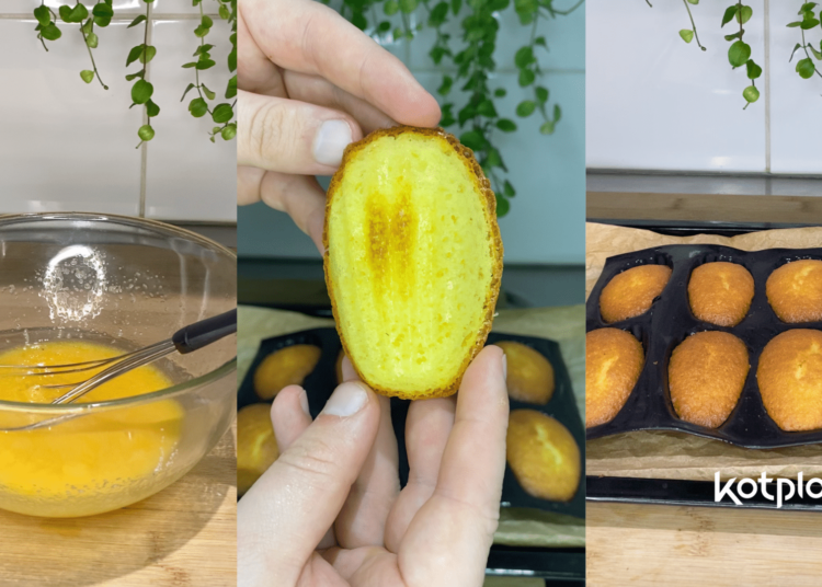 Kotplanet - Recette étudiante de la semaine les madeleines