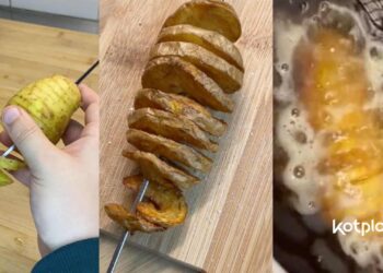 Kotplanet - Recette étudiante les spirales de pommes de terre