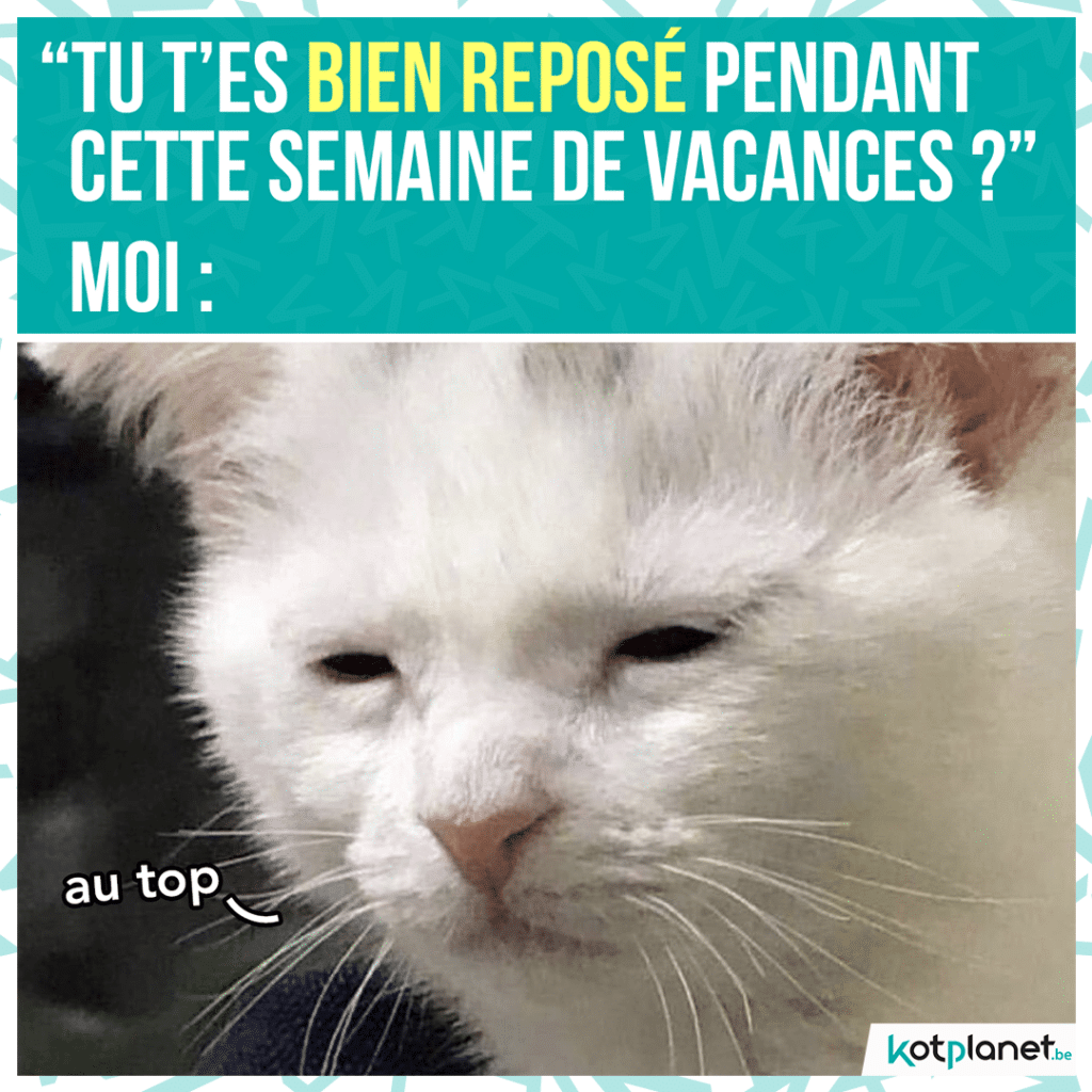 meme-bien-repose-vacances