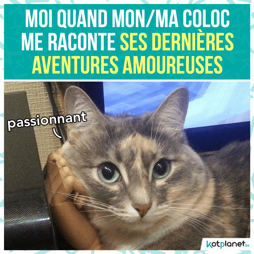 meme-pote-raconte-histoire-amoureuse