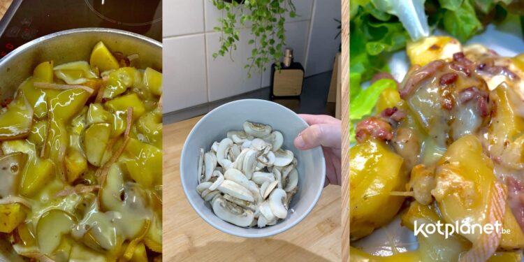 Kotplanet - Recette étudiante de la semaine la raclette à la poêle