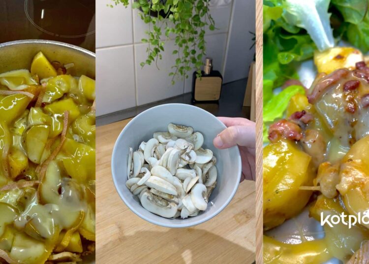 Kotplanet - Recette étudiante de la semaine la raclette à la poêle