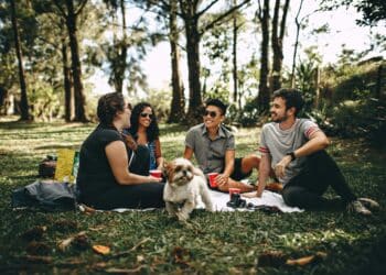 pexels-helena-lopes-amis en pic-nique- les 5 façons de dire à tes amis que tu les aimes
