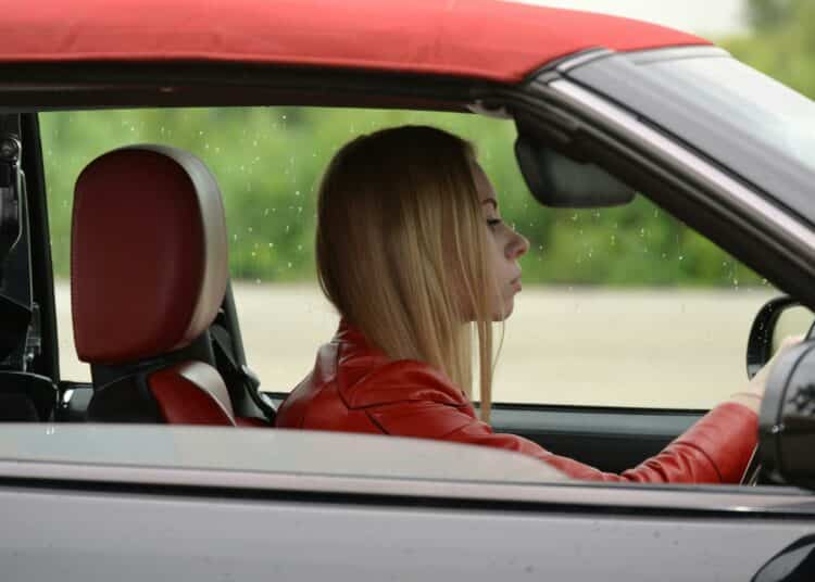 pexels-pixabay-personne au volant d'une voiture-Alterner études et apprentissage du permis de conduire, comment s’y prendre ?