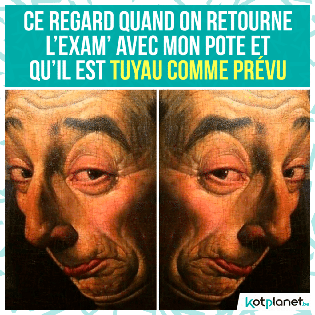 meme-regard-exam-tuyau