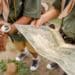 pexels-cottonbro-scouts avec boussole-Comment combiner les mouvements de jeunesse et les études
