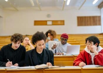 pexels-yankrukov-groupe d'étudiants en auditoire-c'est quoi un PAE