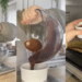 kotplanet - Le mug cake au cacao, ta recette étudiante parfaite entre deux sessions d’études
