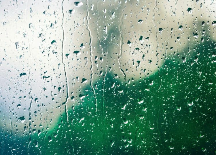 pexels-pixabay-fenêtre de pluie-7 moyens d'aimer la pluie quand on est étudiant en Belgique