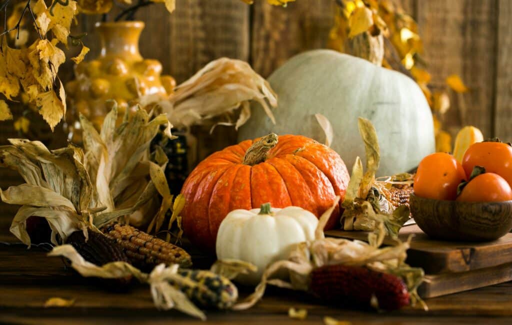 pexels-myfoodie-6 manieren om als student Halloween te vieren