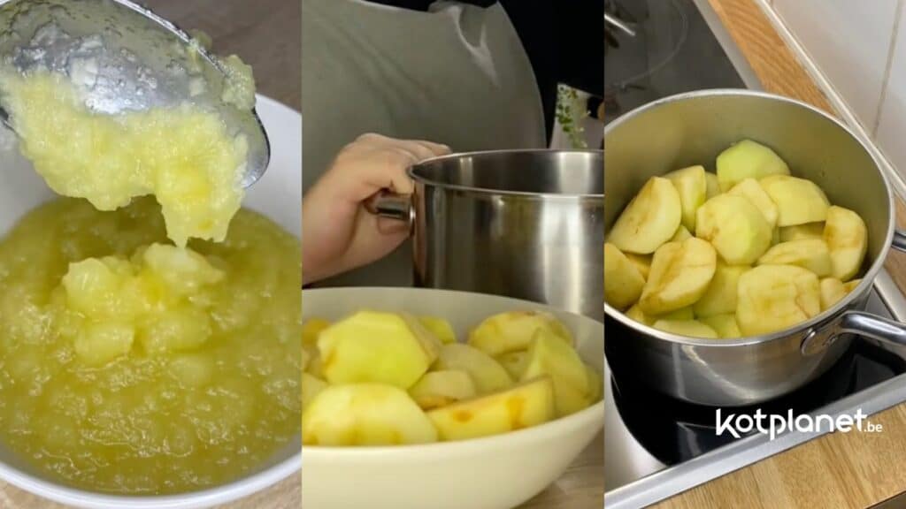 Kotplanet - Un encas simple et rapide à faire au kot la compote de pommes