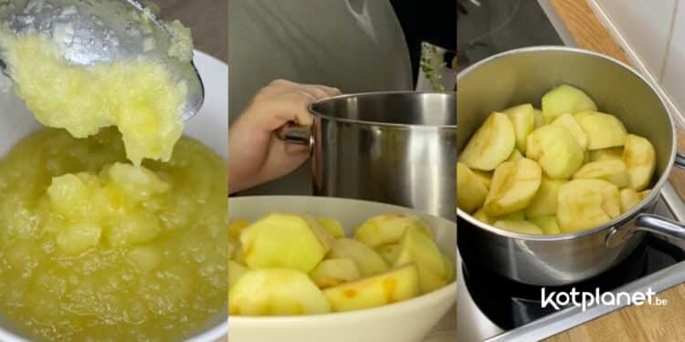 Kotplanet - Un encas simple et rapide à faire au kot la compote de pommes