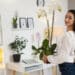 Décore ton kot pour le printemps