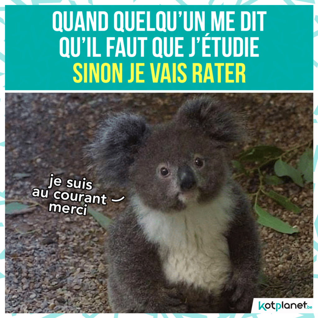 meme-faut-etudier-sinon-rater