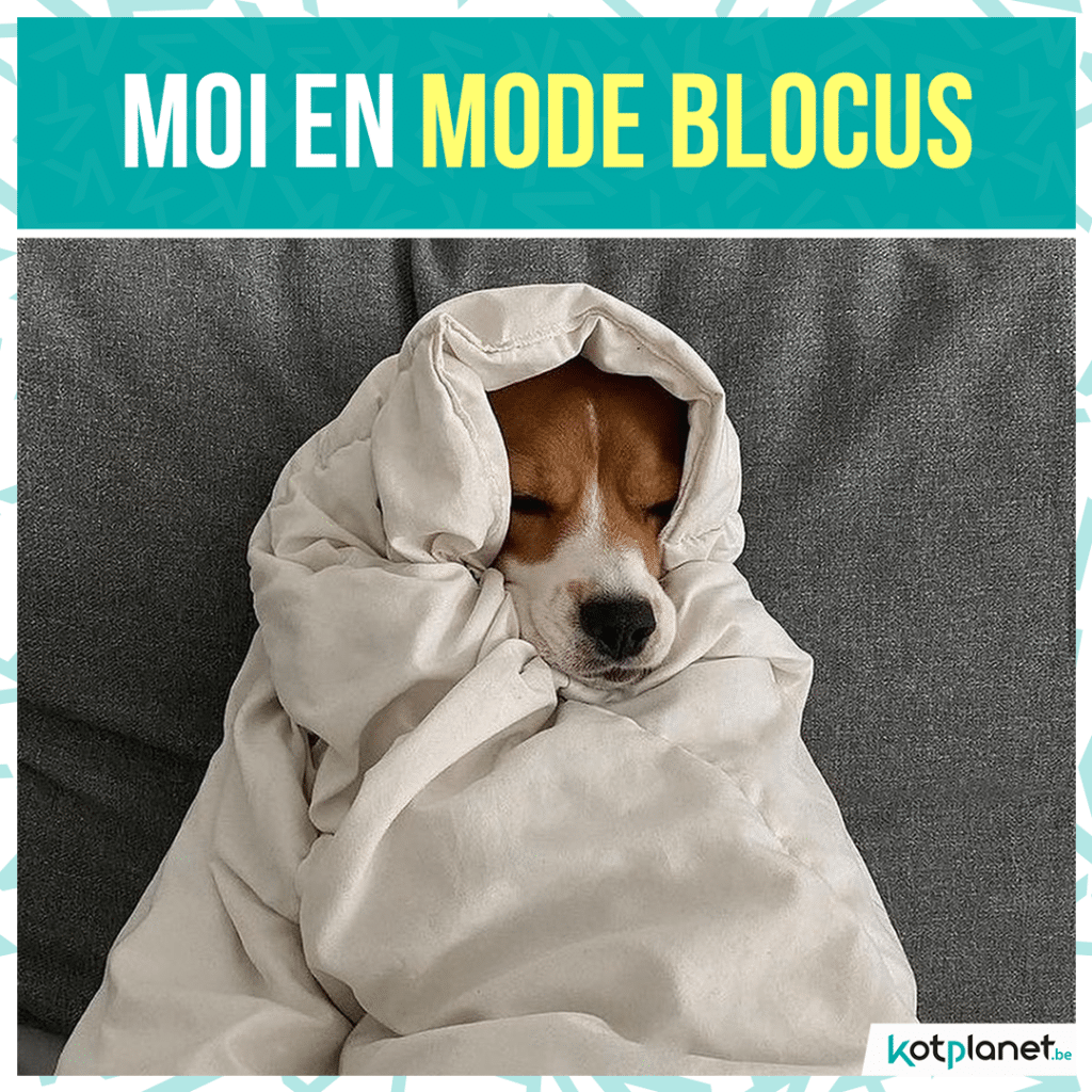 meme-mode-blocus