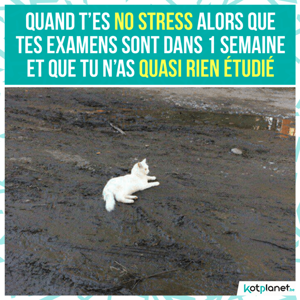 meme-no-stress-quasi-rien-etudier