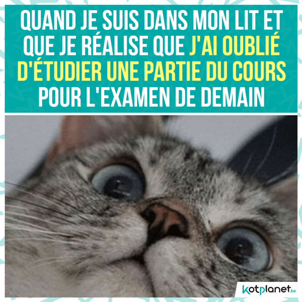 meme oublier etudier une partie du cours