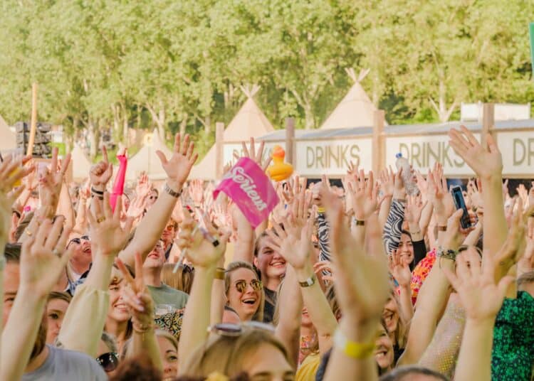 pexels-milodeckert-foule festival levant les bras- quel type de festivalier es-tu à tomorrowland