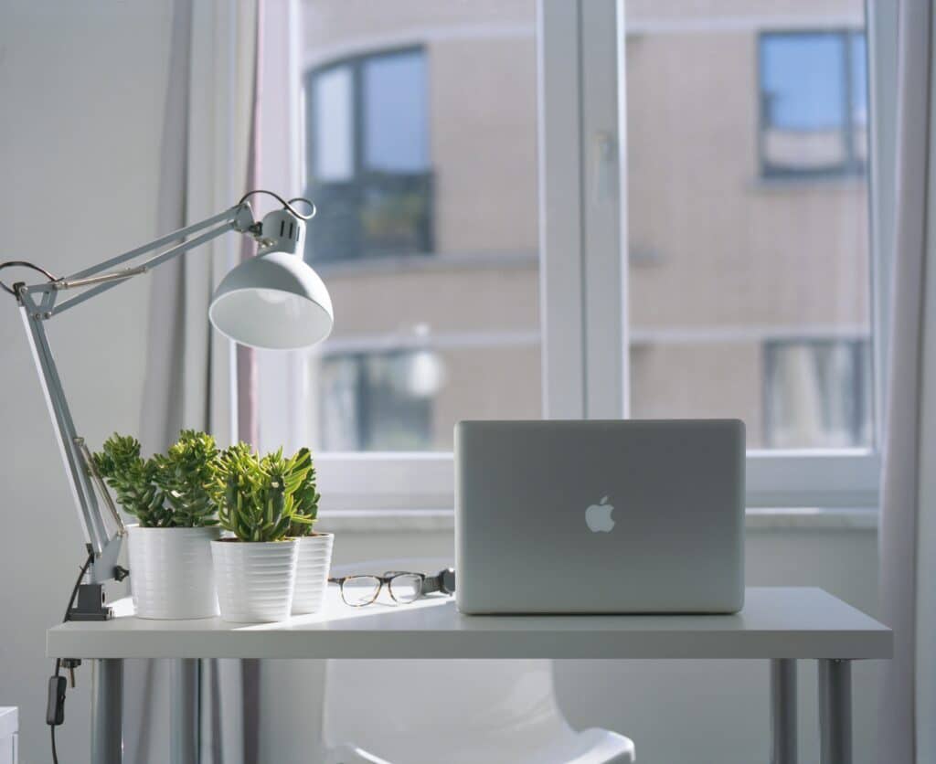 pexels-daan-stevens-Kot avec une fenêtre et des plantes d'intérieur-Pourquoi avoir des plantes au kot est bon pour le moral ?