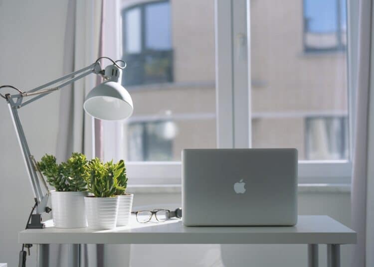 pexels-daan-stevens-Kot avec une fenêtre et des plantes d'intérieur-Pourquoi avoir des plantes au kot est bon pour le moral ?