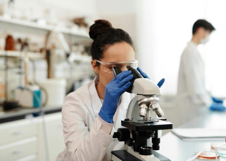 4 façons d’étudier les sciences : la chimie, la biologie et les mathématiques