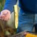 pexels-kampus-homme retournant un légume au barbecue-7 accompagnements à cuisiner pour un barbecue