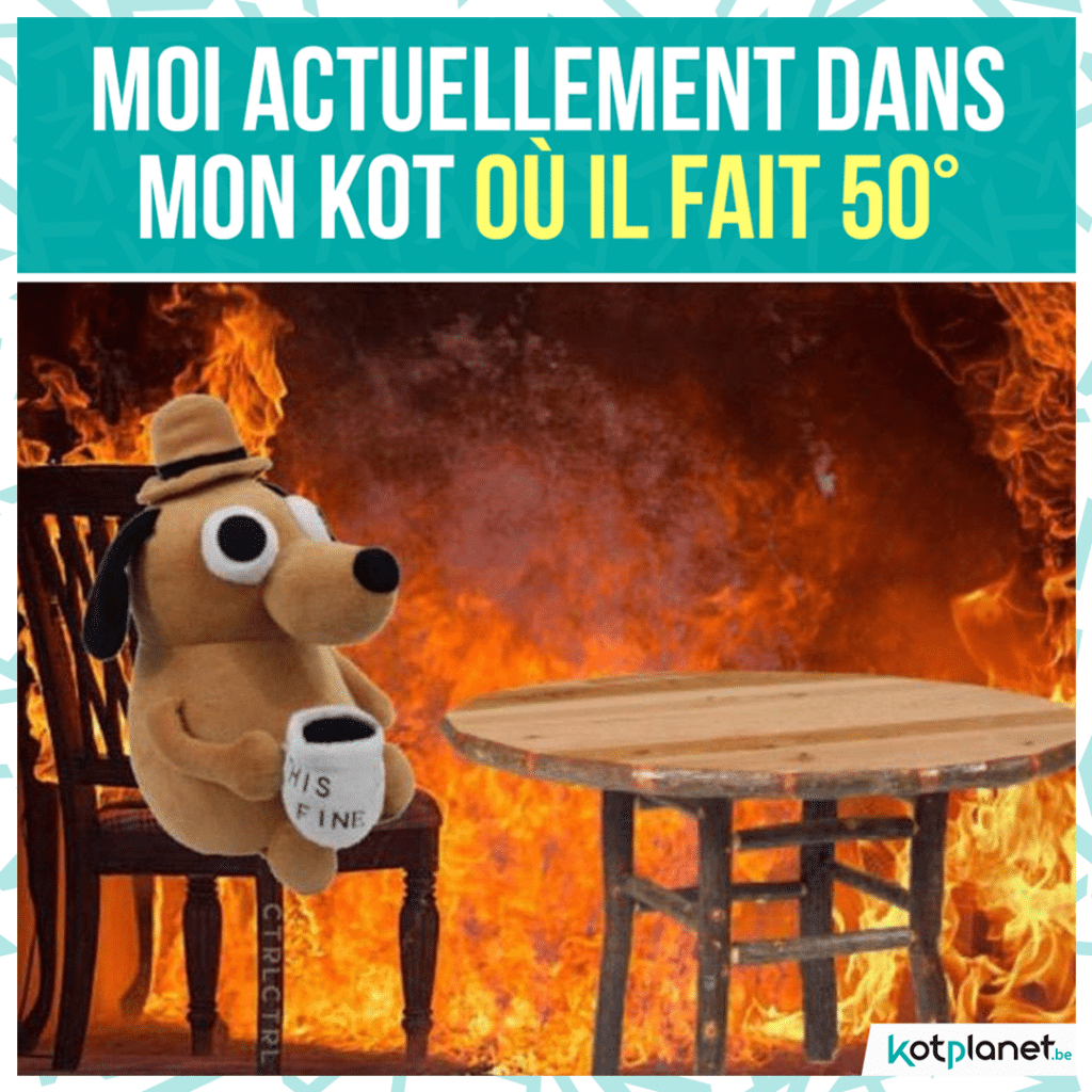 meme chaleur kot