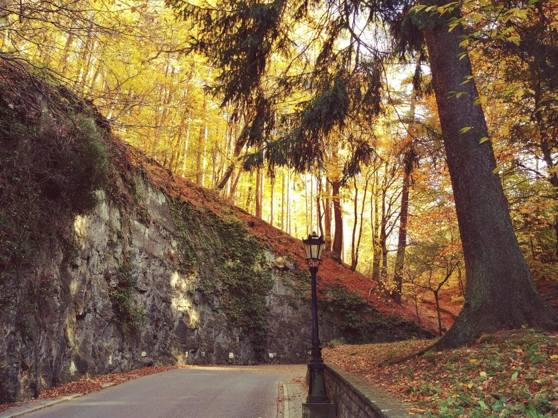 5 redenen om een semester in Luxemburg te studeren