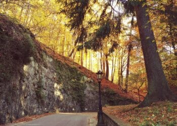 5 redenen om een semester in Luxemburg te studeren