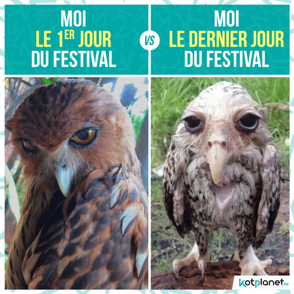 meme moi 1er jour vs dernier festival