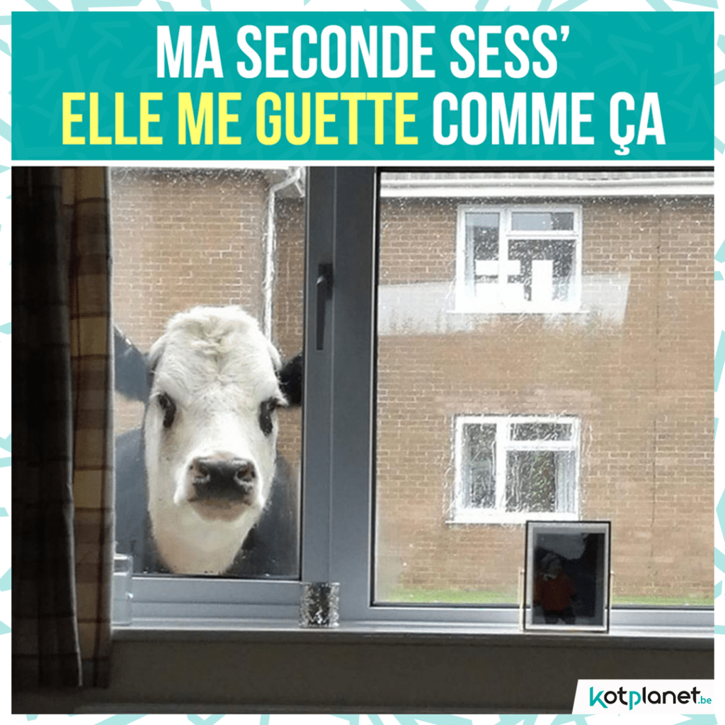 meme seconde sess me guette