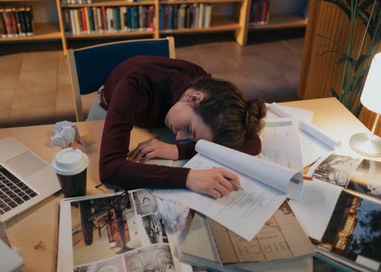 pexels-ron-lach - Flemme d'étudier ta seconde session Ces memes sont pour toi