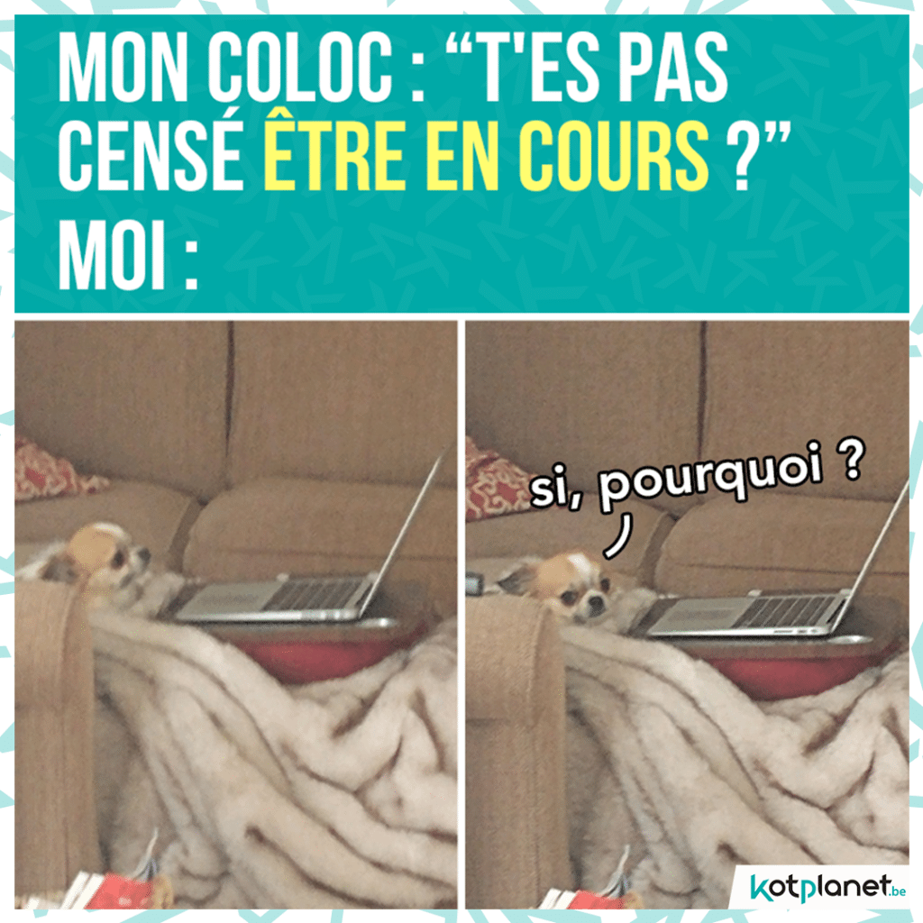 meme-cense-etre-cours
