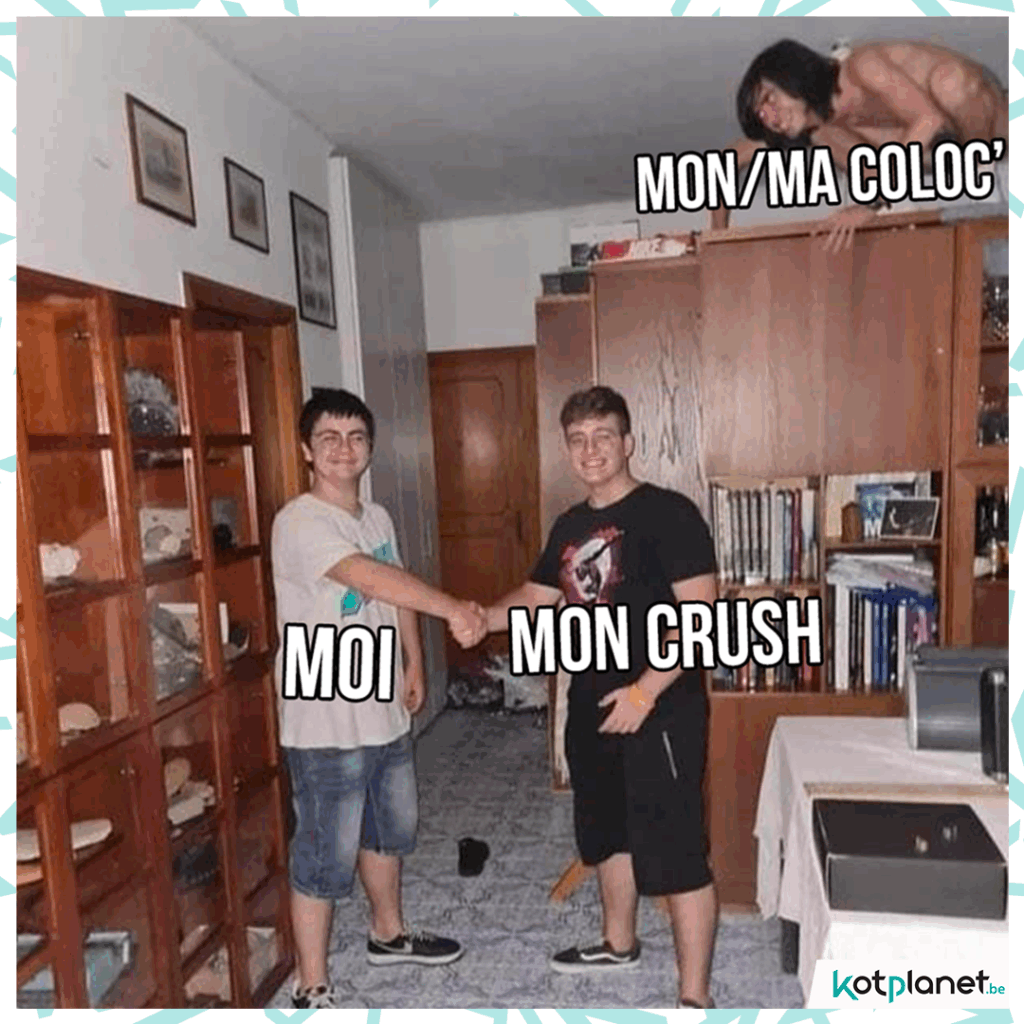 meme-coloc-crush