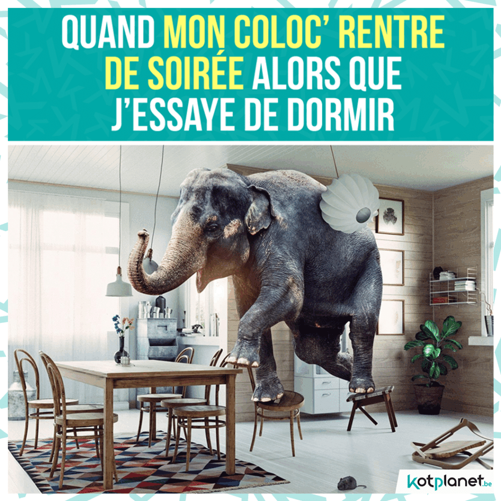 meme-coloc-rentre-soiree-elephant