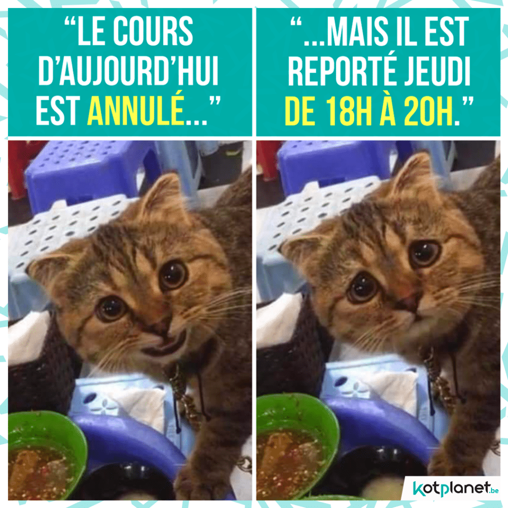 meme-cours-annule-mais-reporte