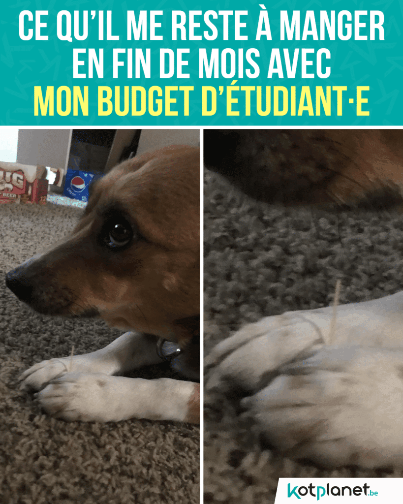 Ce-qu'il-me-reste-à-manger-fin-de-mois-budget-étudiant