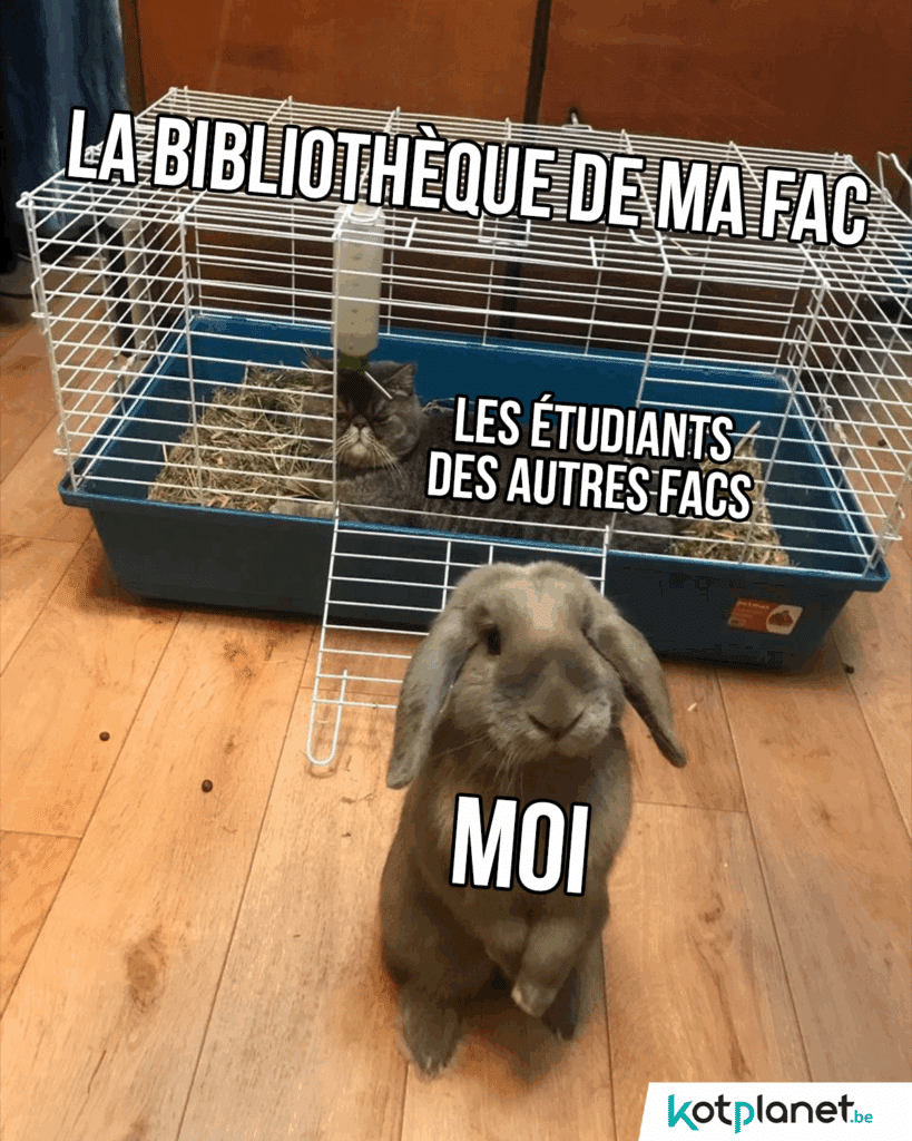 Etudiants-prennent-place-bibli-ma-fac