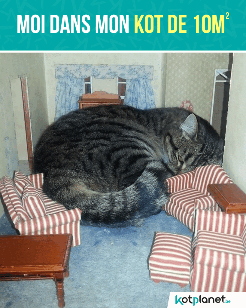 Moi-dans-mon-kot-de-10m