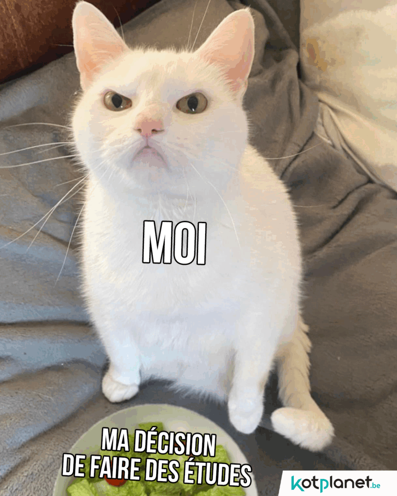 Moi-décision-faire-études