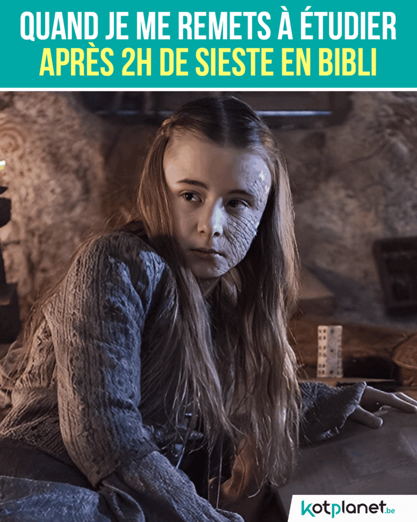 Quand-je-me-remets-à-étudier-après-2h-de-sieste-en-bibli