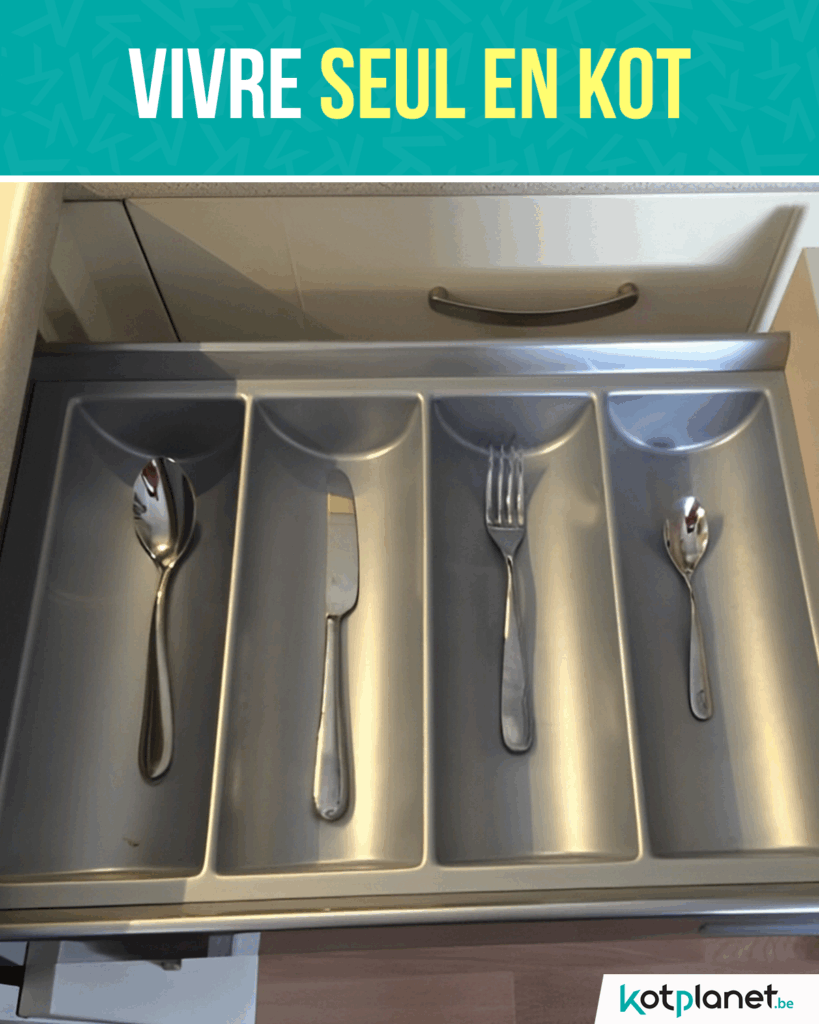 Vivre-seul-en-kot