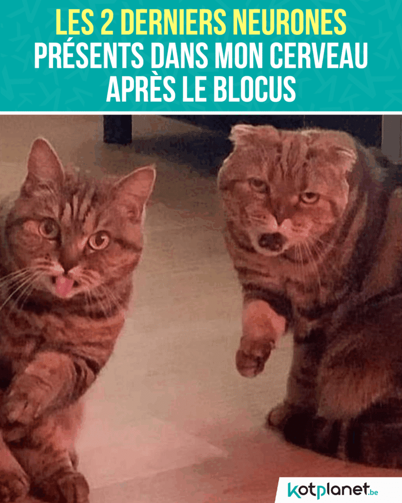 2-derniers-neurones-après-blocus
