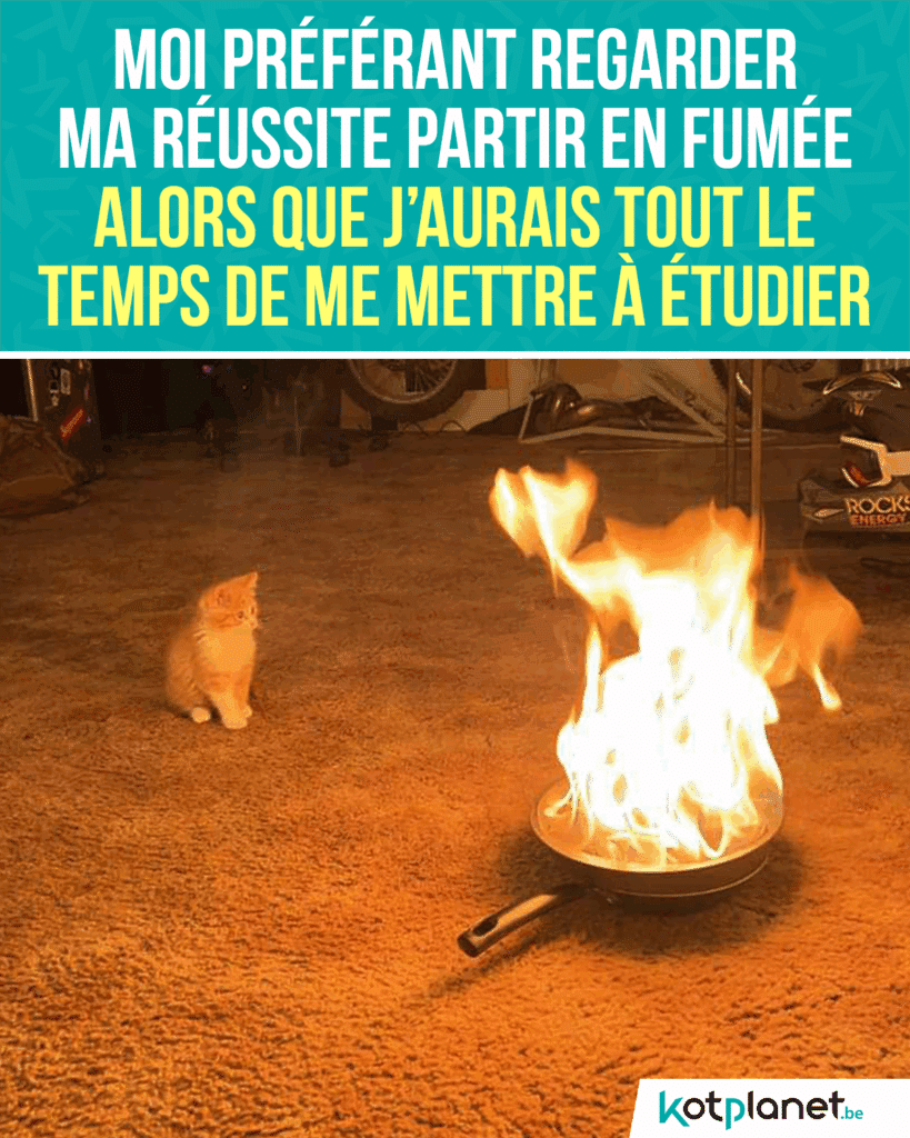 Moi-préférant-regarder-ma-réussite-partir-fumée-étudier