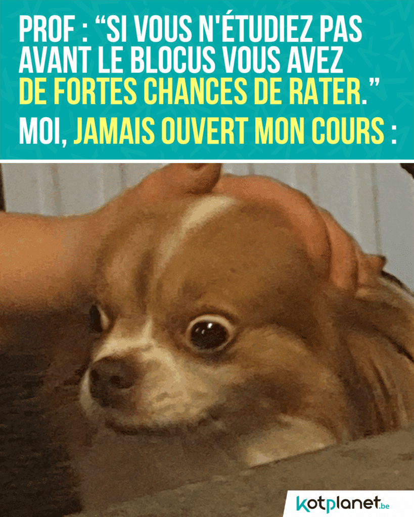 Prof-fortes-chances-rater-pas-étudier-avant-blocus