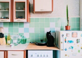 4 conseils pour gérer un frigo partagé en kot